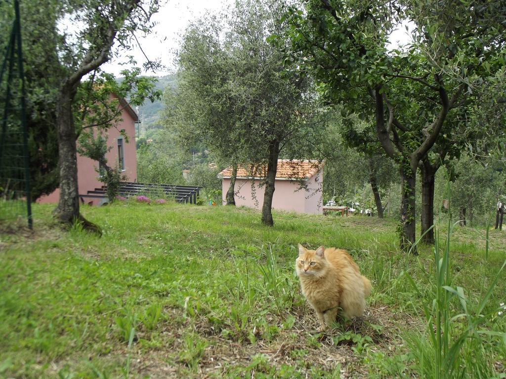 Agriturismo Brasino Fosdinovo Zimmer foto