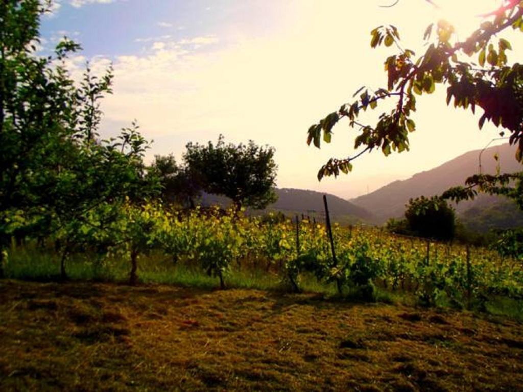 Agriturismo Brasino Fosdinovo Zimmer foto